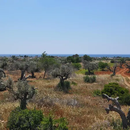 Tenuta Mimmi By Salento Affitti